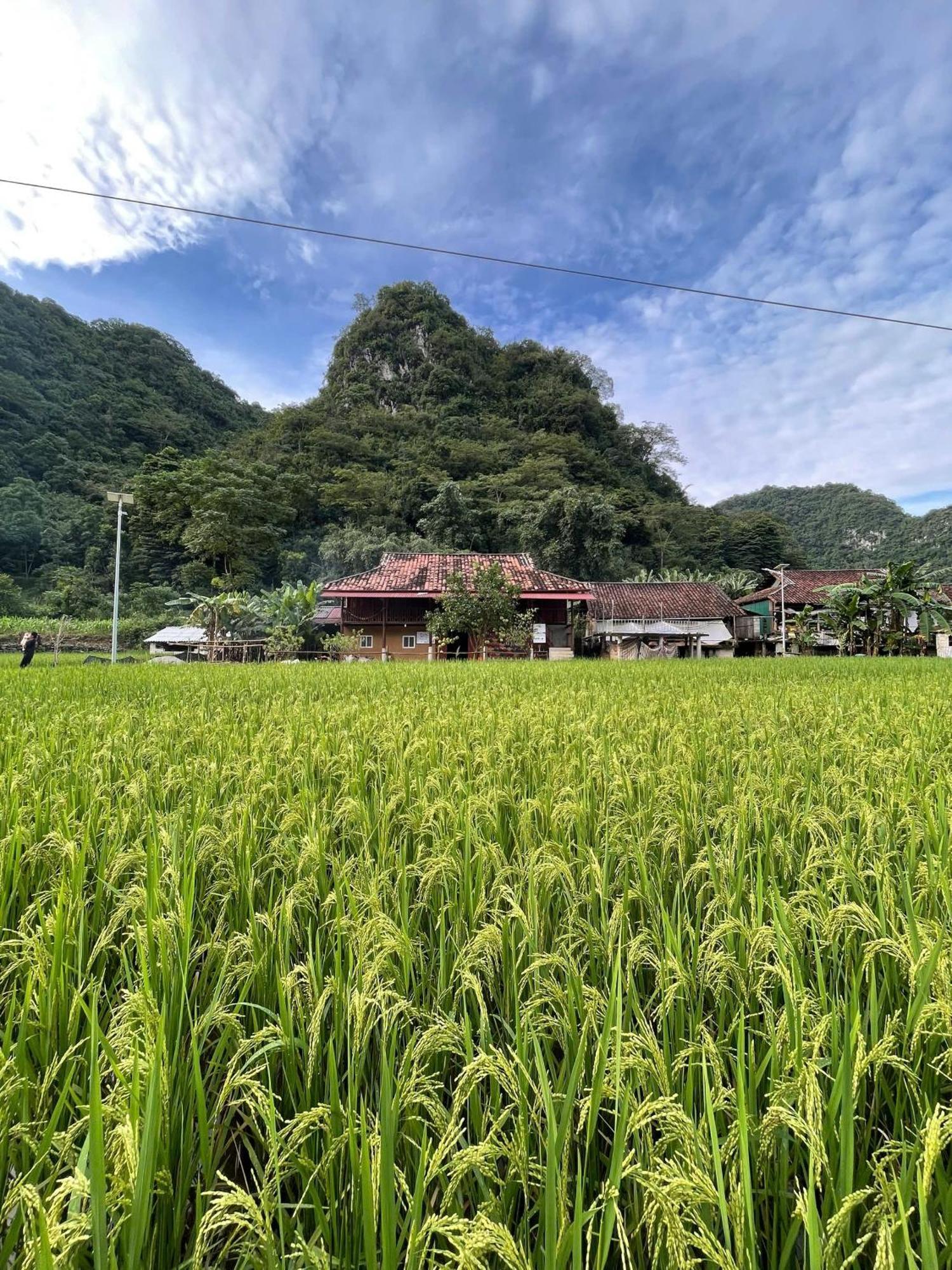 Nung An Homestay Quang Uyen Exteriér fotografie