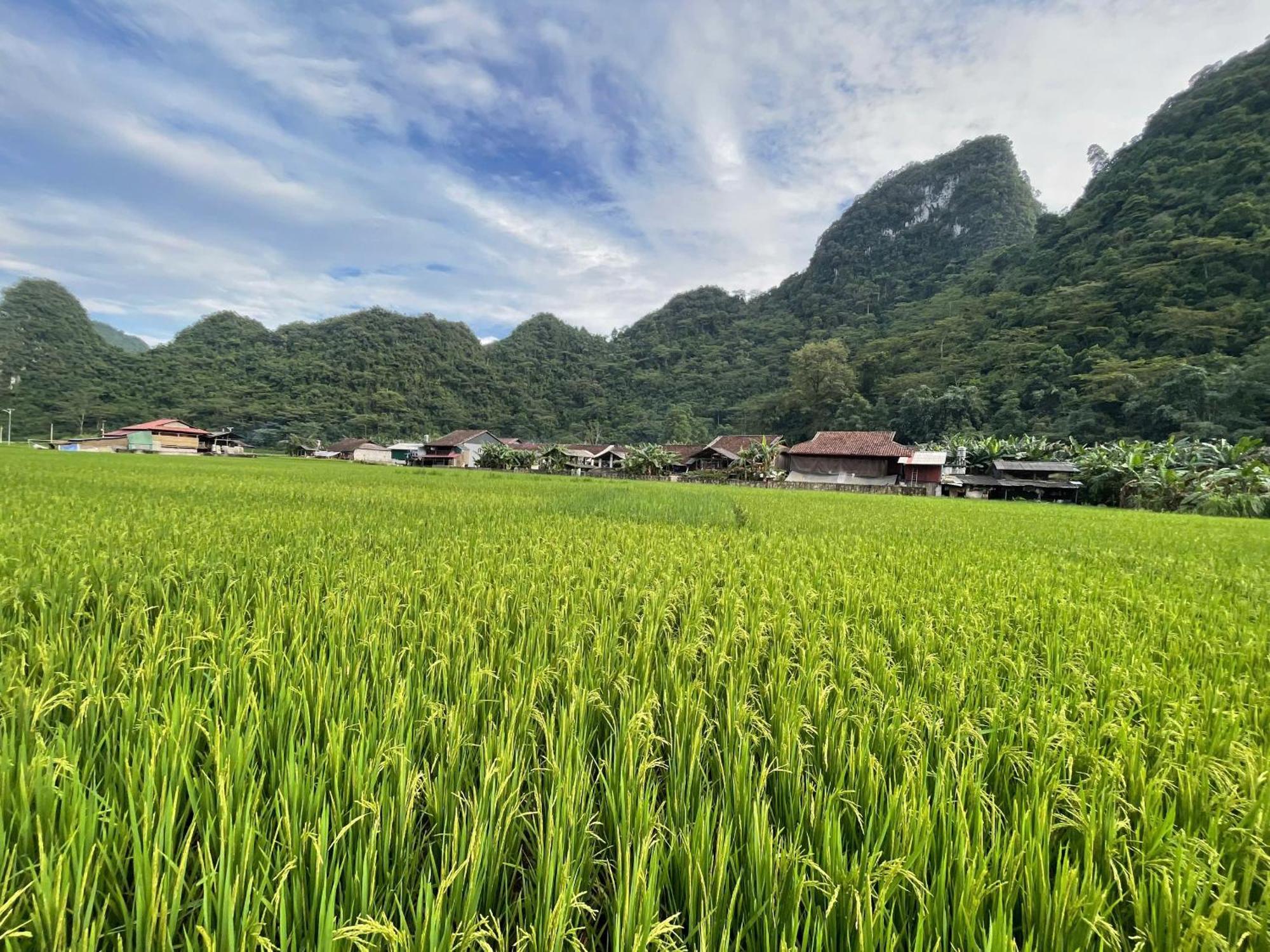 Nung An Homestay Quang Uyen Exteriér fotografie